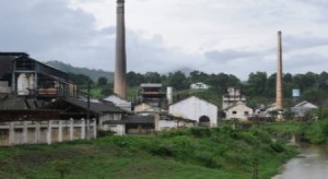 cruangi (1)