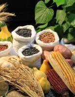 Um recorde para as vendas do agronegócio no primeiro semestre do ano