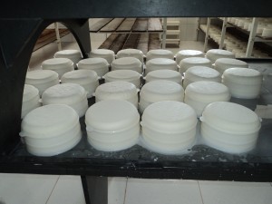 laticinios 1