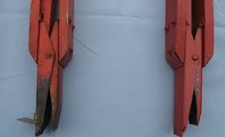 Orientações para as pequenas propriedades produzirem melhor o milho