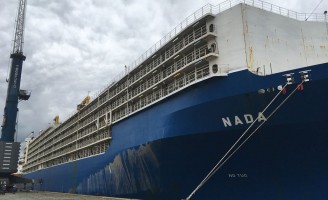 As polêmicas geradas pelo transporte de bois vivos para o exterior