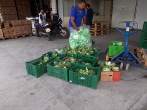 apreensão - adagro 1