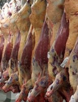 País bate recorde de exportação de carne bovina in natura