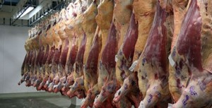 carne bovina pendurada