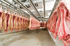 carne suina exportação