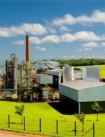 A possibilidade de bons negócios leva o produtor rural correr aos bancos e aumentar o volume de contratação do crédito agrícola