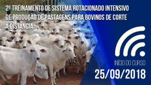 curso rotacionado de corte