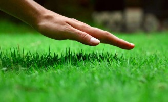 A Escola Superior de Agricultura vai ensinar como cuidar bem dos gramados para o futebol