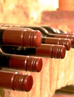 Sugestões de vinhos para aproveitar o período das  vindimas do Alentejo, em Portugal