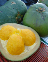 Aproveitando melhor a capacidade produtiva do fruto do pequi