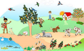 Mobilização para incluir animais em planos de redução de riscos em desastres ambientais