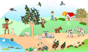 vários animais