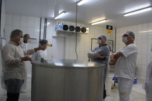 Auditoria na Adagro