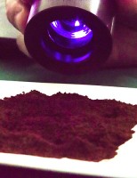 Nova tecnologia permite analisar a qualidade do café em pouco tempo