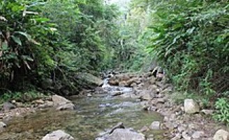 A importância de restaurar as matas de ripárias no Cerrado brasileiro