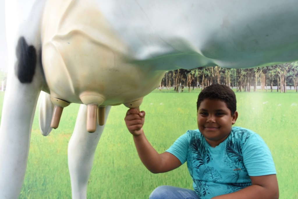Estande de feirinha da agricultura familiar chama atenção dos visitantes da Exposição de Animais