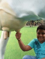 Estande de feirinha da agricultura familiar chama atenção dos visitantes da Exposição de Animais