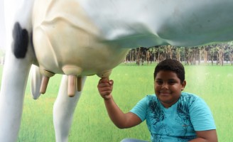 Estande de feirinha da agricultura familiar chama atenção dos visitantes da Exposição de Animais