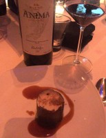Vinho brasileiro ganha lançamento mundial