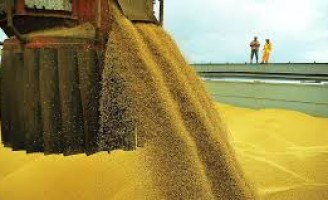 Agronegócio vende mais de US$ 100 bilhões nos últimos 12 meses