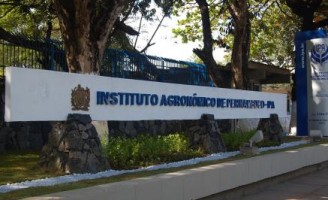 A gastronomia a base de plantas alimentícias não convencionais pode ser degustada no IPA, no Recife