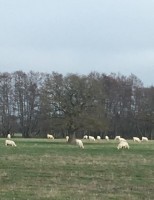 A beleza dos campos da França no inverno