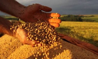 Previsões registram crescimento de 10,6% na safra de grãos no Brasil