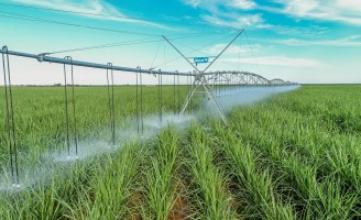 Especialistas apostam em aumento de canaviais irrigados em 2019