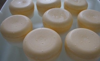 A importância dos microrganismo usados em queijo de leite de cabra