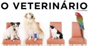 veterinario - raças