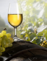 O Vinho Verde, destaque no consumo europeu, chega com força para consumidores brasileiros