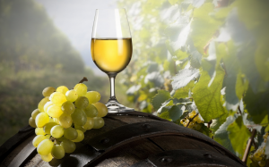 vinho_verde 1