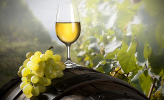 O Vinho Verde, destaque no consumo europeu, chega com força para consumidores brasileiros