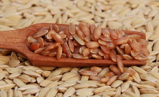 Sementes de arroz com maior atividade antioxidante beneficia o consumidor