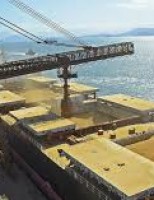 Exportações do agronegócio brasileiro cresceram nos últimos 12 meses