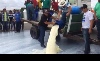 Produtores de leite do agreste pernambucano fazem protesto e jogam leite no asfalto
