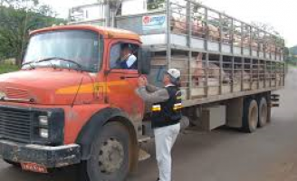 Ministério da Agricultura quer mais rigor na fiscalização do transporte de cargas de animais vivos