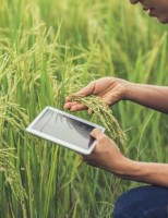 É preciso conhecer as novas tecnologias que impulsionam o agronegócio no Brasil