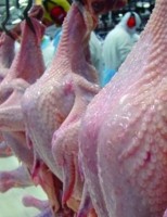 Produtores de carne de frango no Brasil comemoram a reabertura do mercado chinês