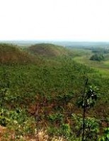 Um projeto incentiva o agricultor a conservar o meio ambiente do cerrado brasileiro