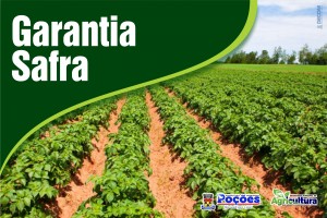 garantia-safra