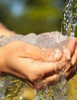 Dia Mundial da Água comemorado com eventos que se preocupam com a redução no consumo de água na agricultura