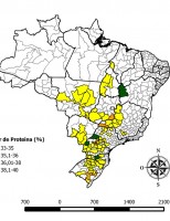 A soja brasileira é melhor do que a soja americana
