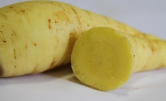 Chega ao mercado uma nova cultivar de batata baroa
