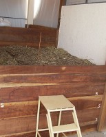 Melhores resultados na produção de lavouras do Nordeste com uso de compostagem