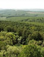 Excesso de burocracia atrasa a implementação do Código Florestal brasileiro