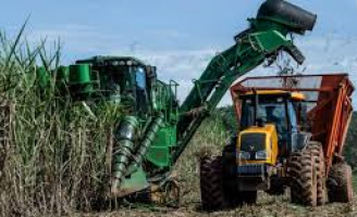 Pesquisadores vão trabalhar na busca por mais eficiência da produção de cana no nordeste