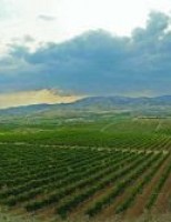 Terras milenares para produção de vinhos. Vamos conhecer os Vinhedos da Turquia