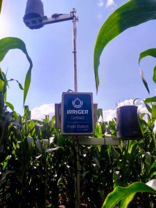 Field Station