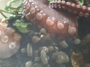 arroz de polvo